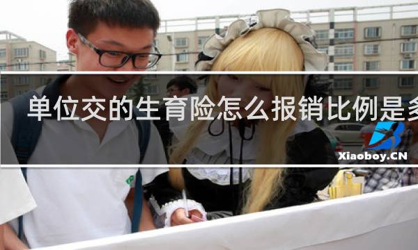 单位交的生育险怎么报销比例是多少