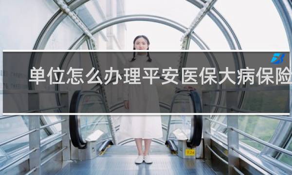 单位怎么办理平安医保大病保险吗