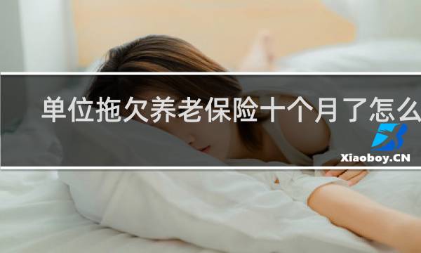 单位拖欠养老保险十个月了怎么办