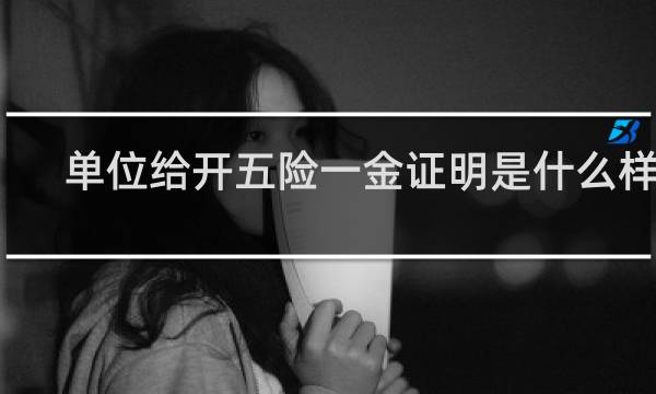 单位给开五险一金证明是什么样的