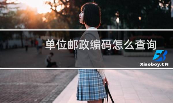 单位邮政编码怎么查询