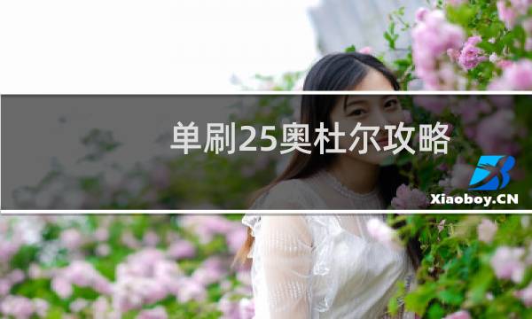 单刷25奥杜尔攻略