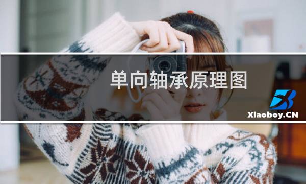 单向轴承原理图