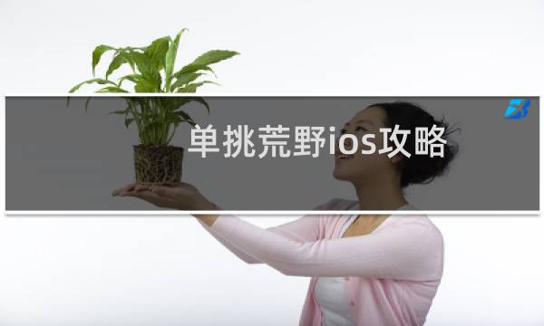 单挑荒野ios攻略