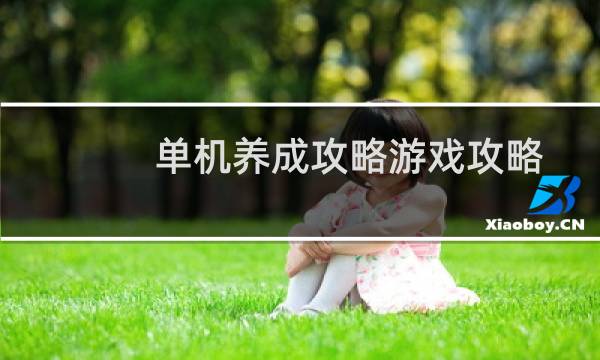 单机养成攻略游戏攻略