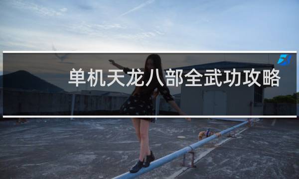 单机天龙八部全武功攻略