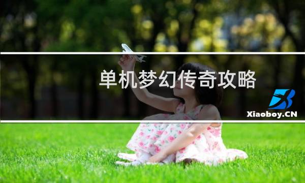 单机梦幻传奇攻略