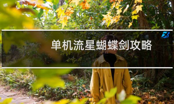 单机流星蝴蝶剑攻略
