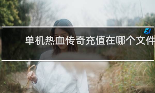 单机热血传奇充值在哪个文件