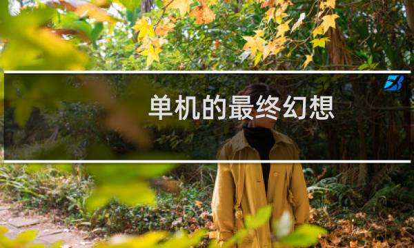 单机的最终幻想