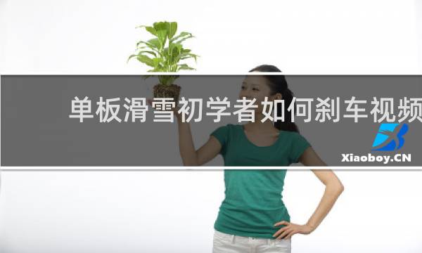 单板滑雪初学者如何刹车视频