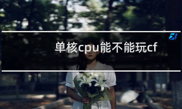 单核cpu能不能玩cf