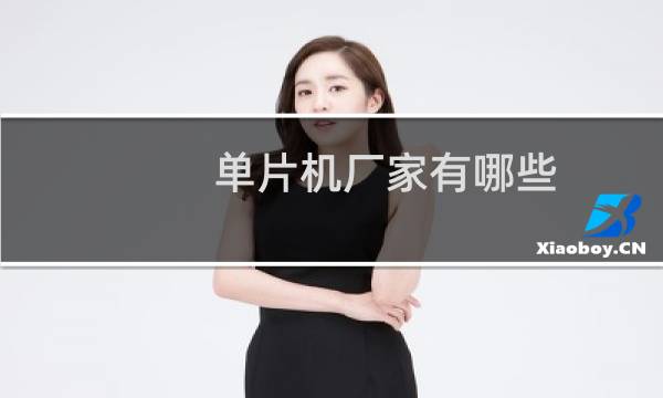 单片机厂家有哪些