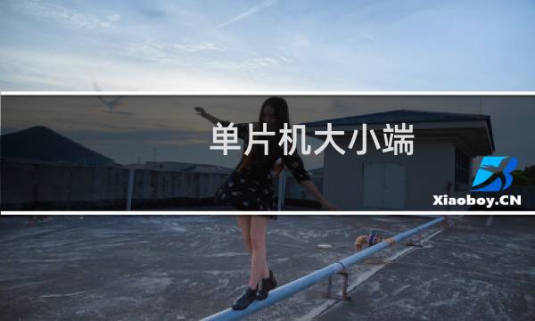 单片机大小端