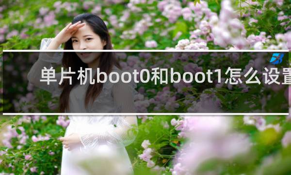 单片机boot0和boot1怎么设置