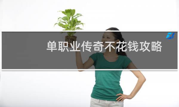 单职业传奇不花钱攻略