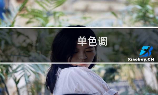 单色调 攻略