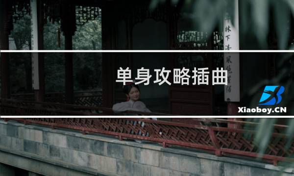 单身攻略插曲