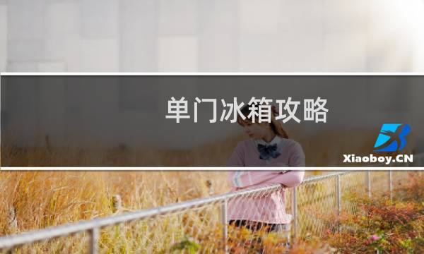 单门冰箱攻略