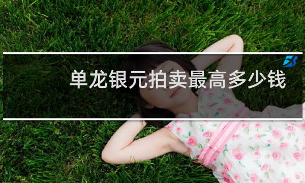 单龙银元拍卖最高多少钱