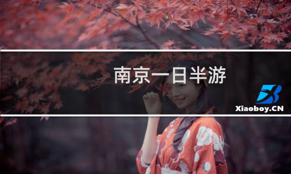 南京一日半游