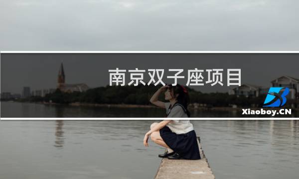 南京双子座项目