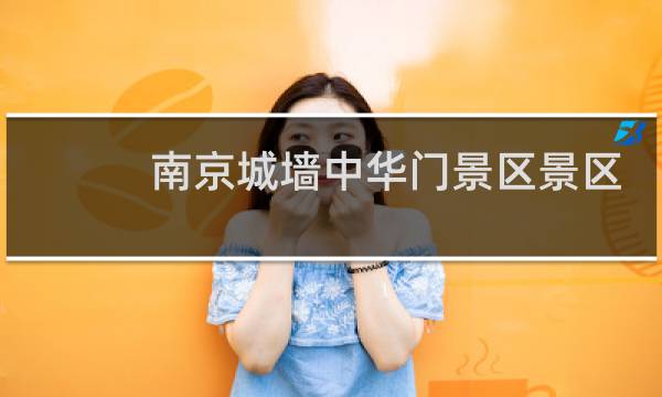 南京城墙中华门景区景区