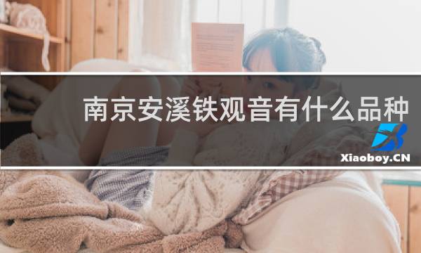 南京安溪铁观音有什么品种