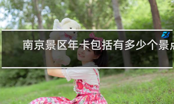 南京景区年卡包括有多少个景点