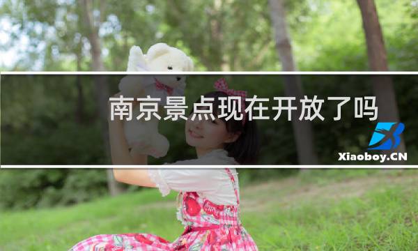 南京景点现在开放了吗