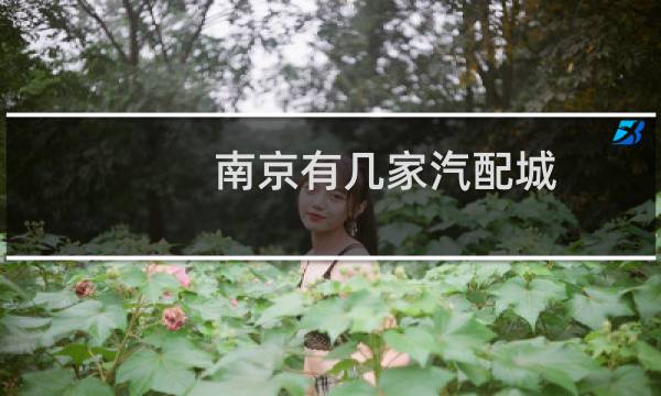 南京有几家汽配城