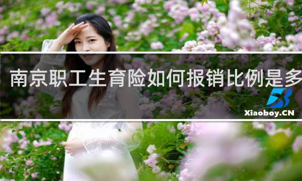 南京职工生育险如何报销比例是多少钱