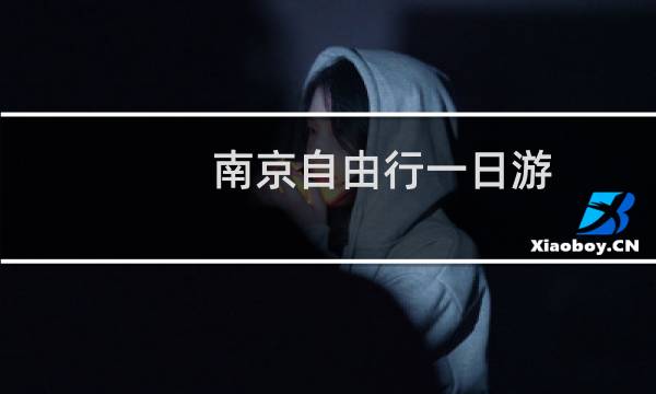 南京自由行一日游