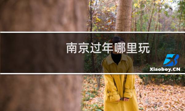 南京过年哪里玩