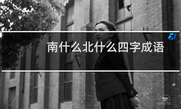 南什么北什么四字成语