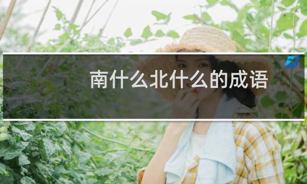 南什么北什么的成语