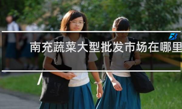 南充蔬菜大型批发市场在哪里