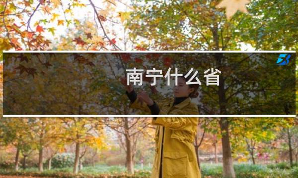 南宁什么省