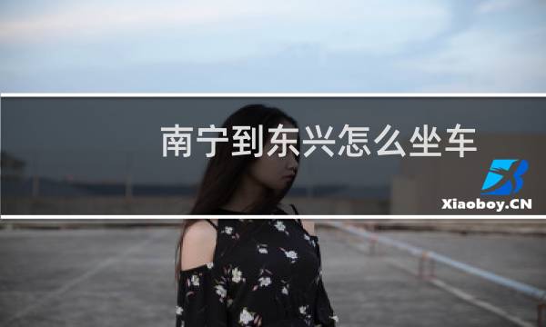 南宁到东兴怎么坐车