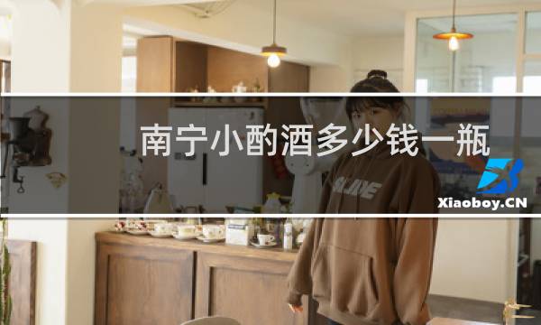 南宁小酌酒多少钱一瓶