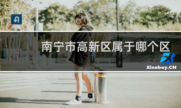 南宁市高新区属于哪个区