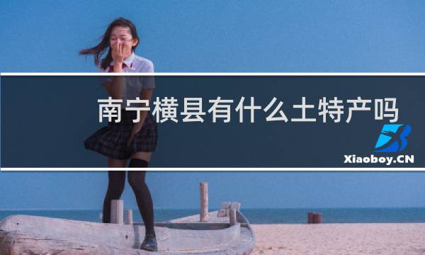 南宁横县有什么土特产吗