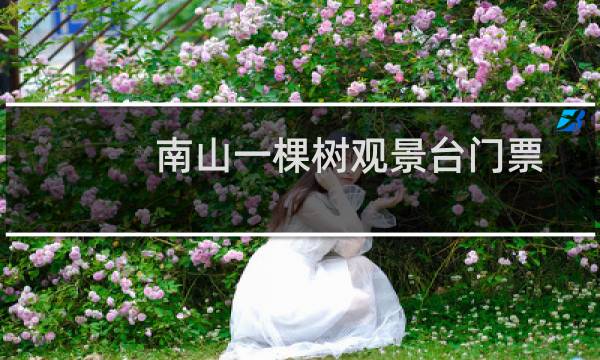 南山一棵树观景台门票