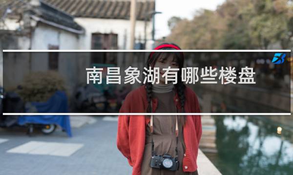 南昌象湖有哪些楼盘