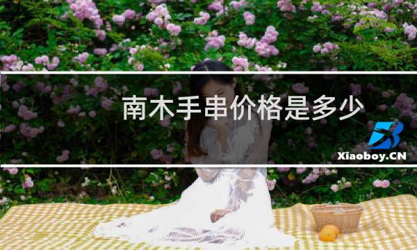 南木手串价格是多少