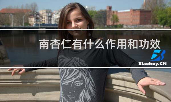 南杏仁有什么作用和功效
