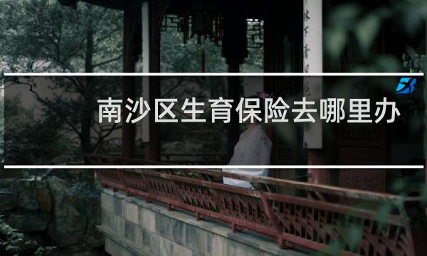 南沙区生育保险去哪里办