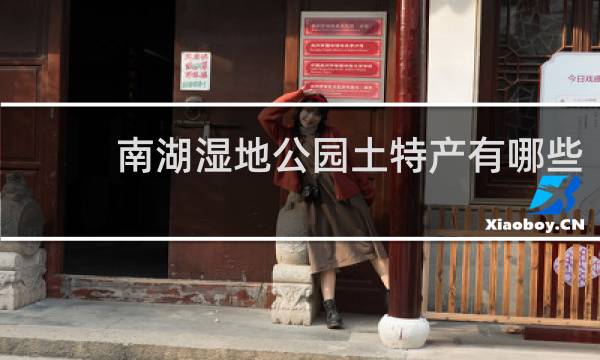 南湖湿地公园土特产有哪些