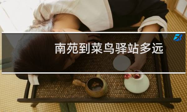 南苑到菜鸟驿站多远