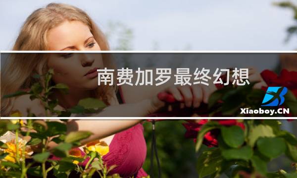 南费加罗最终幻想